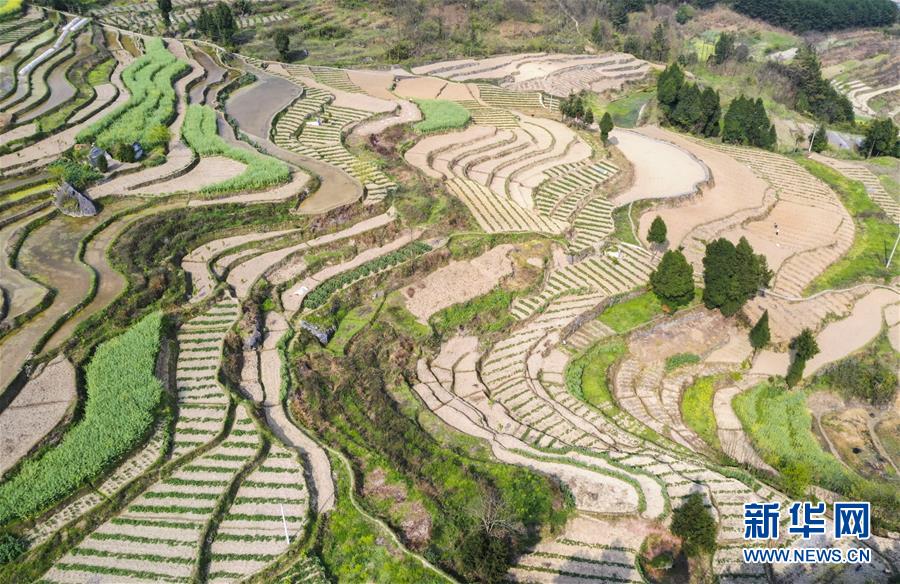 (新華視界)(1)山鄉春景