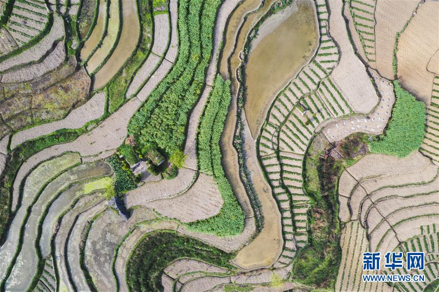 (新華視界)(2)山鄉春景