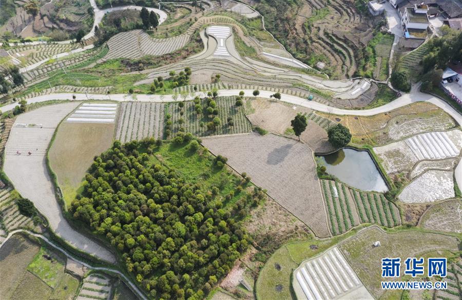 (新華視界)(3)山鄉春景