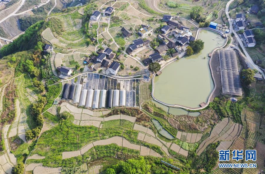 (新華視界)(4)山鄉春景