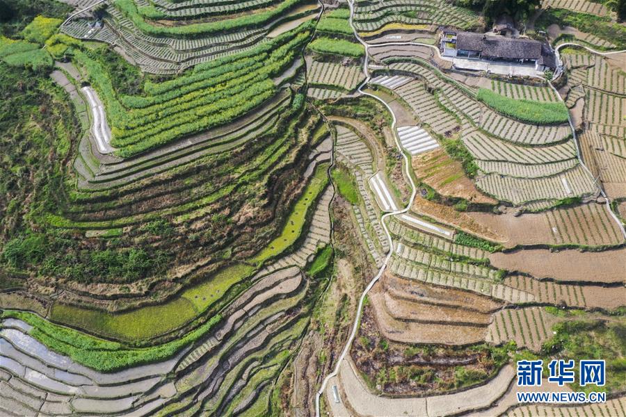 (新華視界)(5)山鄉春景