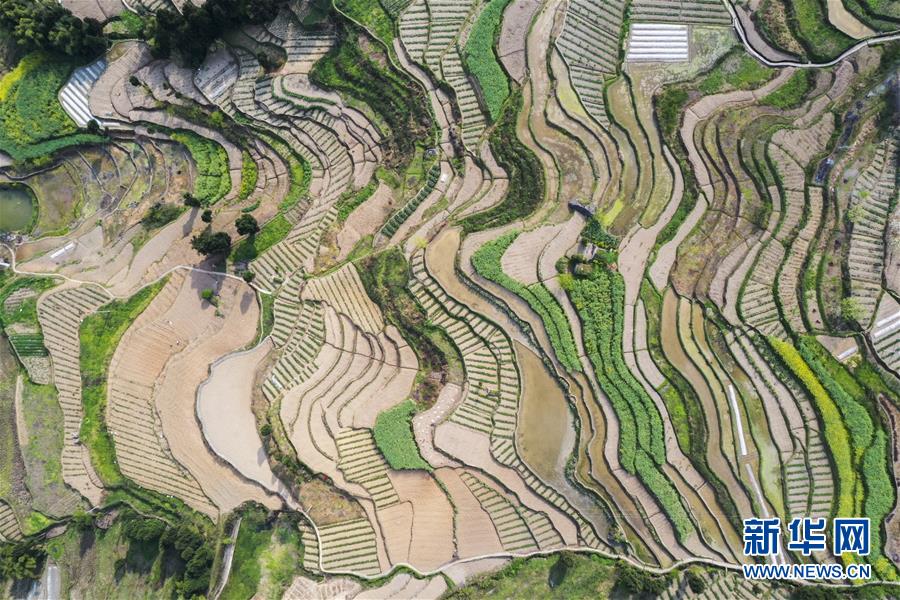 (新華視界)(6)山鄉春景