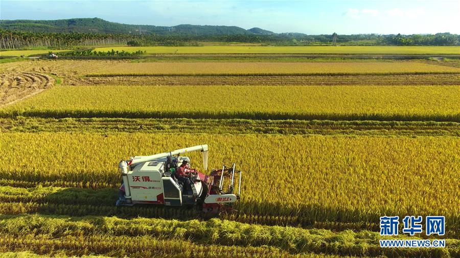 #(經(jīng)濟(jì))(1)立夏農(nóng)忙