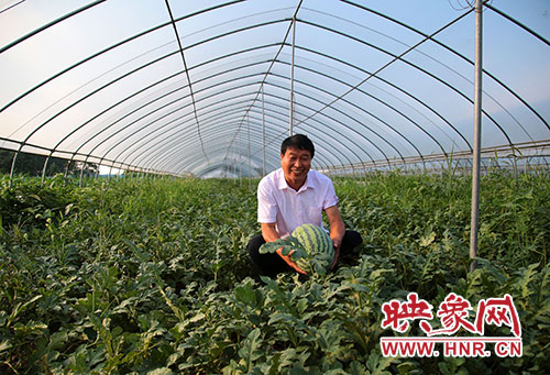 張建設抱著自己大棚里的西瓜自豪感油然而生 張建設抱著自己大棚里的西瓜自豪感油然而生