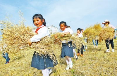鄭州一小學有個農趣園 師生們可在這播種勞作收獲