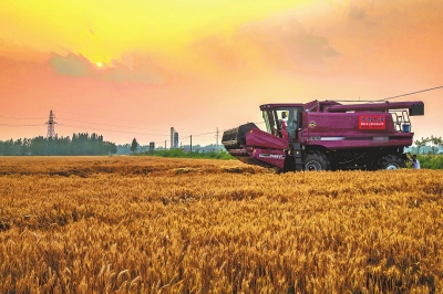 從“大糧倉(cāng)”到“大餐桌” 培育“三農(nóng)”新動(dòng)能河南腳步鏗鏘