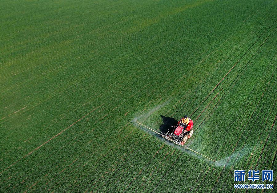 春風拂綠農事忙 春風拂綠農事忙