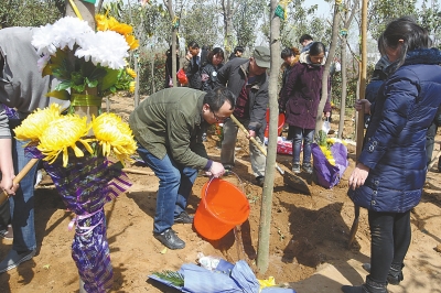 鄭州第十屆集體樹葬公益活動舉行 10年來868個家庭參與其中