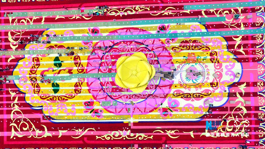 河南鄢陵:300萬株鮮花打造巨型“地毯” 河南鄢陵:300萬株鮮花打造巨型“地毯”