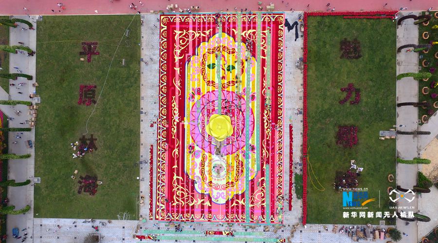 河南鄢陵:300萬株鮮花打造巨型“地毯” 河南鄢陵:300萬株鮮花打造巨型“地毯”