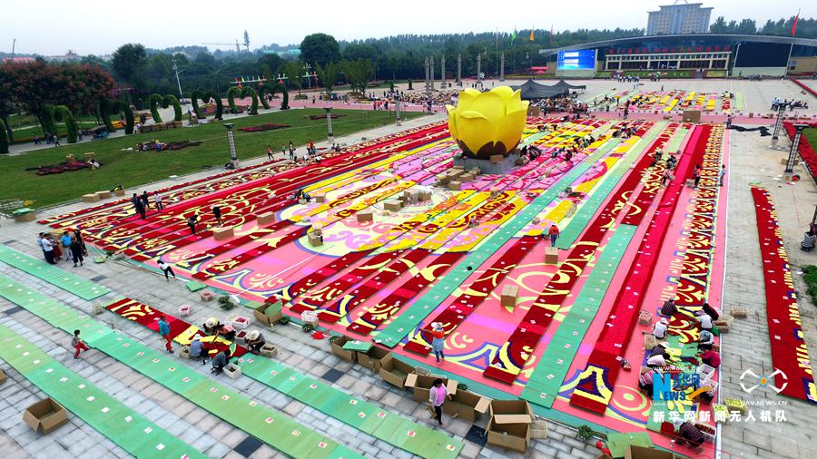 河南鄢陵:300萬株鮮花打造巨型“地毯” 河南鄢陵:300萬株鮮花打造巨型“地毯”