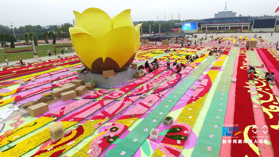 河南鄢陵:300萬株鮮花打造巨型“地毯” 河南鄢陵:300萬株鮮花打造巨型“地毯”