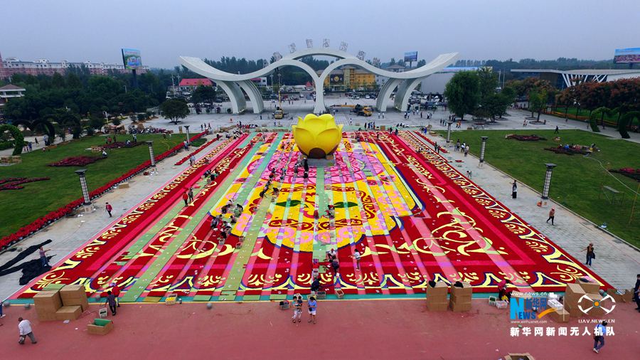 河南鄢陵:300萬株鮮花打造巨型“地毯” 河南鄢陵:300萬株鮮花打造巨型“地毯”