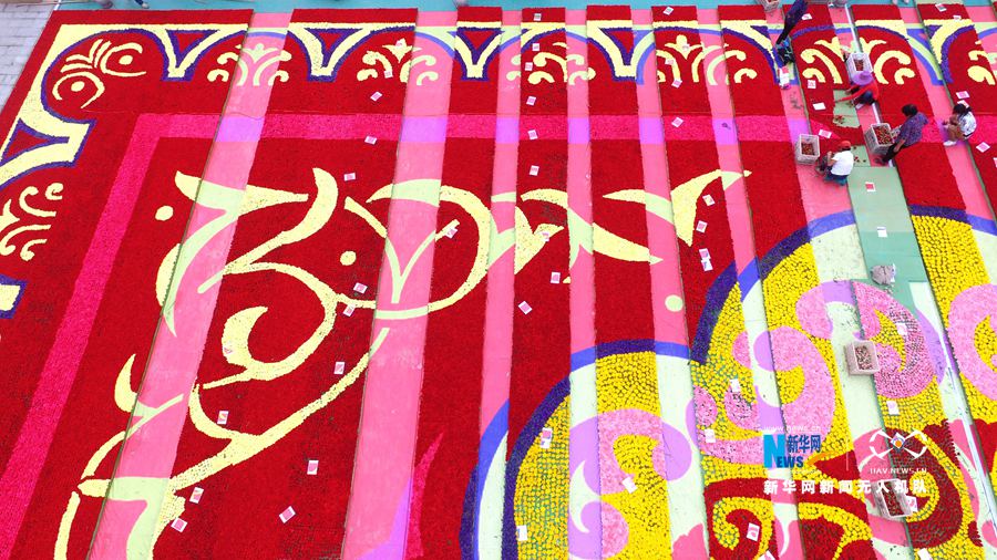 河南鄢陵:300萬株鮮花打造巨型“地毯” 河南鄢陵:300萬株鮮花打造巨型“地毯”