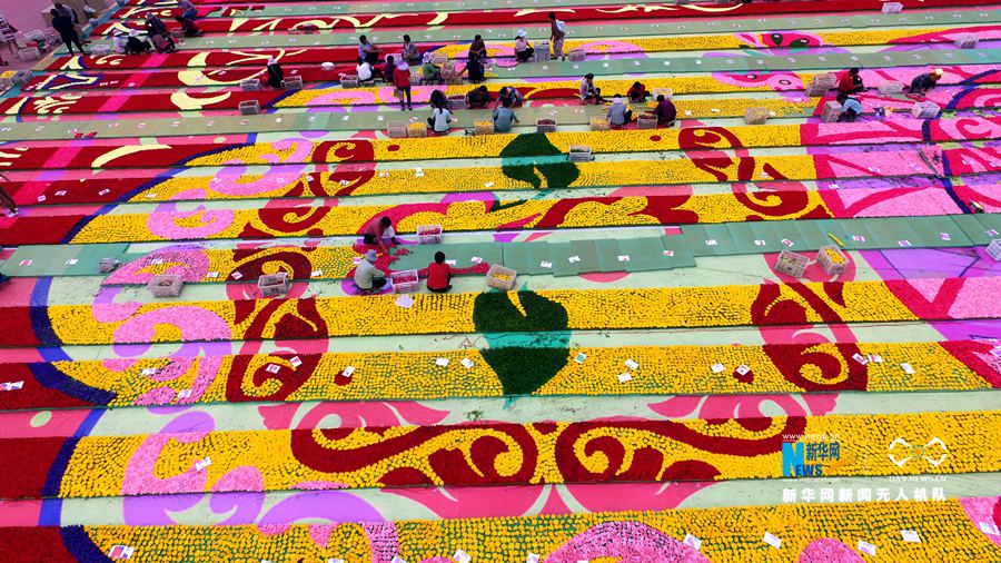 河南鄢陵:300萬株鮮花打造巨型“地毯” 河南鄢陵:300萬株鮮花打造巨型“地毯”