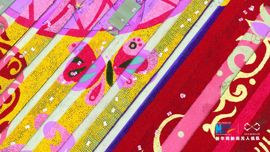 河南鄢陵:300萬株鮮花打造巨型“地毯” 河南鄢陵:300萬株鮮花打造巨型“地毯”