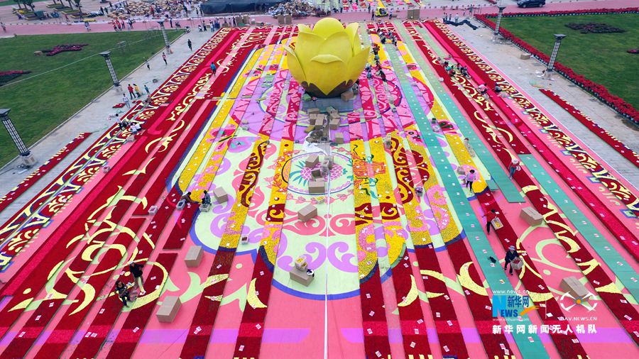 河南鄢陵:300萬株鮮花打造巨型“地毯” 河南鄢陵:300萬株鮮花打造巨型“地毯”