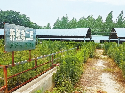 長葛市榆林村扶貧項目半途而廢 養殖農戶血本無歸