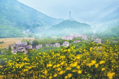 把莊嚴(yán)承諾寫在中原大地上——黨的十八大以來我省脫貧攻堅(jiān)紀(jì)實(shí)