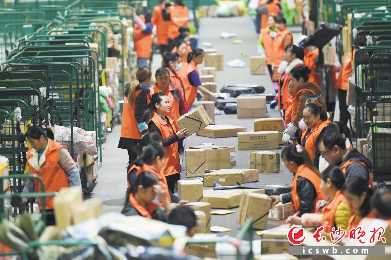 昨日上午,長沙郵區中心局南、北兩個車間人聲鼎沸、機器轟鳴,工作人員正在緊張有序地處理包裹。長沙晚報記者 黃啟晴 攝