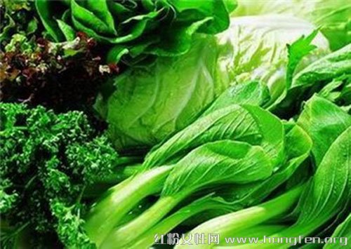 日常養生:揭秘八大具有補腦效果的食物