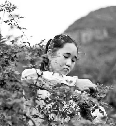 “花椒女孩”的勵志暑假走紅網絡