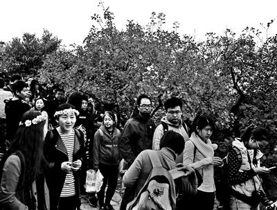 點擊進入下一頁