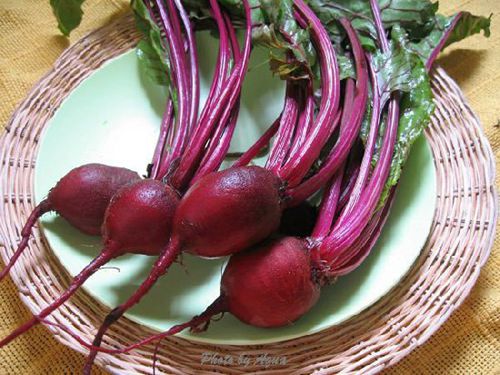 腦白金都弱爆了,多吃這15種天然食物才最補(bǔ)腦!