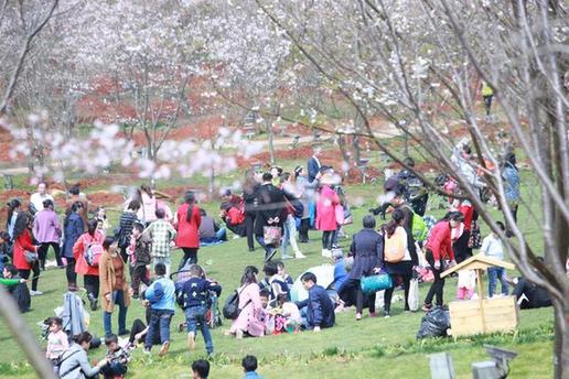 【萬人春游踏青鳳凰溝 千名漫迷扮靚景區(qū)}】