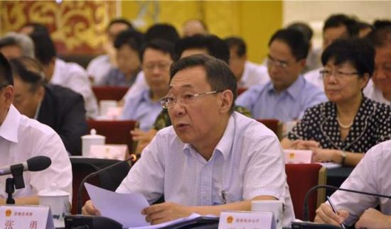 國家發改委副主任張勇回答問題。人民網