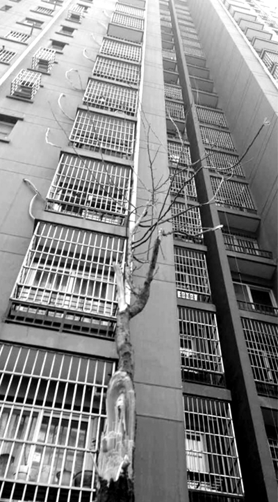 СŮĘϵr(sh)ě_֦Ҕ