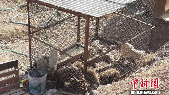 D鱱ᜫӿڴץصĲַǺ z