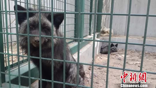 ֫@ȵķڱҰoĽܿ(f)B(yng)ĿǰѱͻԭB(yng)ֳDڸx\ĺ؂Ǻ z