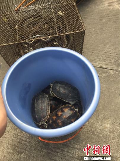 420գ֘IֽMɭֹȈ̷ˆTͻurwɼҲ^@Ұһܞt z