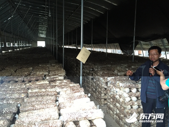 駱駝灣村唐榮斌夫婦接待各地趕來的網絡媒體