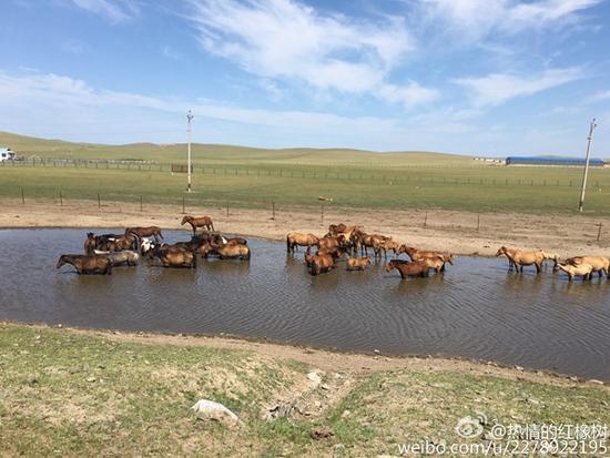 內蒙古東北等局地可達40℃ 明后天高溫緩解