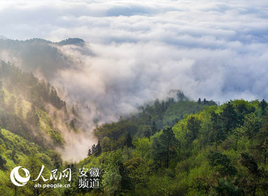 ·(sh)`ƪǣGɫ桱l(f)չ(dng)