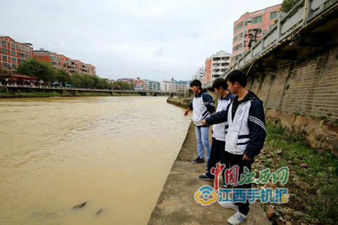 大余:一老人早晨落水 四名高中生聯手救起