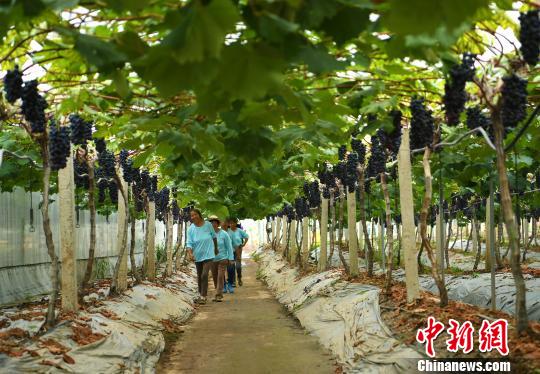 ؑcl(xing)rîaI(y)rԲģʽwrI(y)