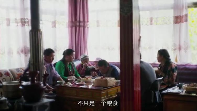 尋覓家鄉的味道:西藏小伙返鄉創業 帶領鄉親增收致富