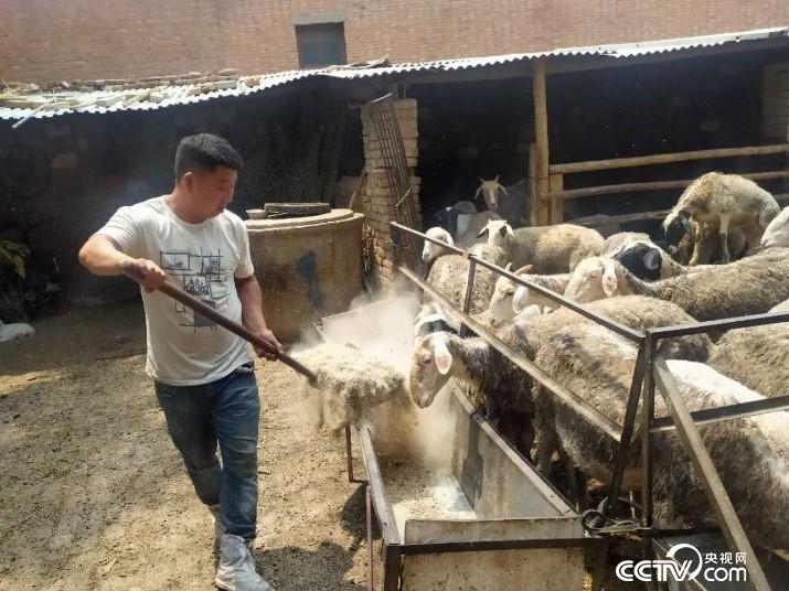 κhʷؚCưѷһҏķؚ˻؁¸Сĵ·z/x