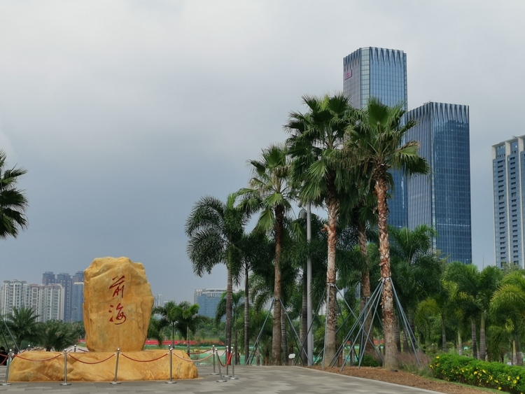 鑒往知來,跟著總書記學(xué)歷史丨特區(qū)40年,深圳再出發(fā)