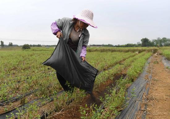 VMhУ(zhn)ʯʩʣ412Քz)@Щÿɶѷa(chn)Aӛ A z