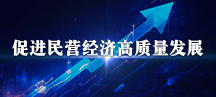 促進民營經濟高質量發展